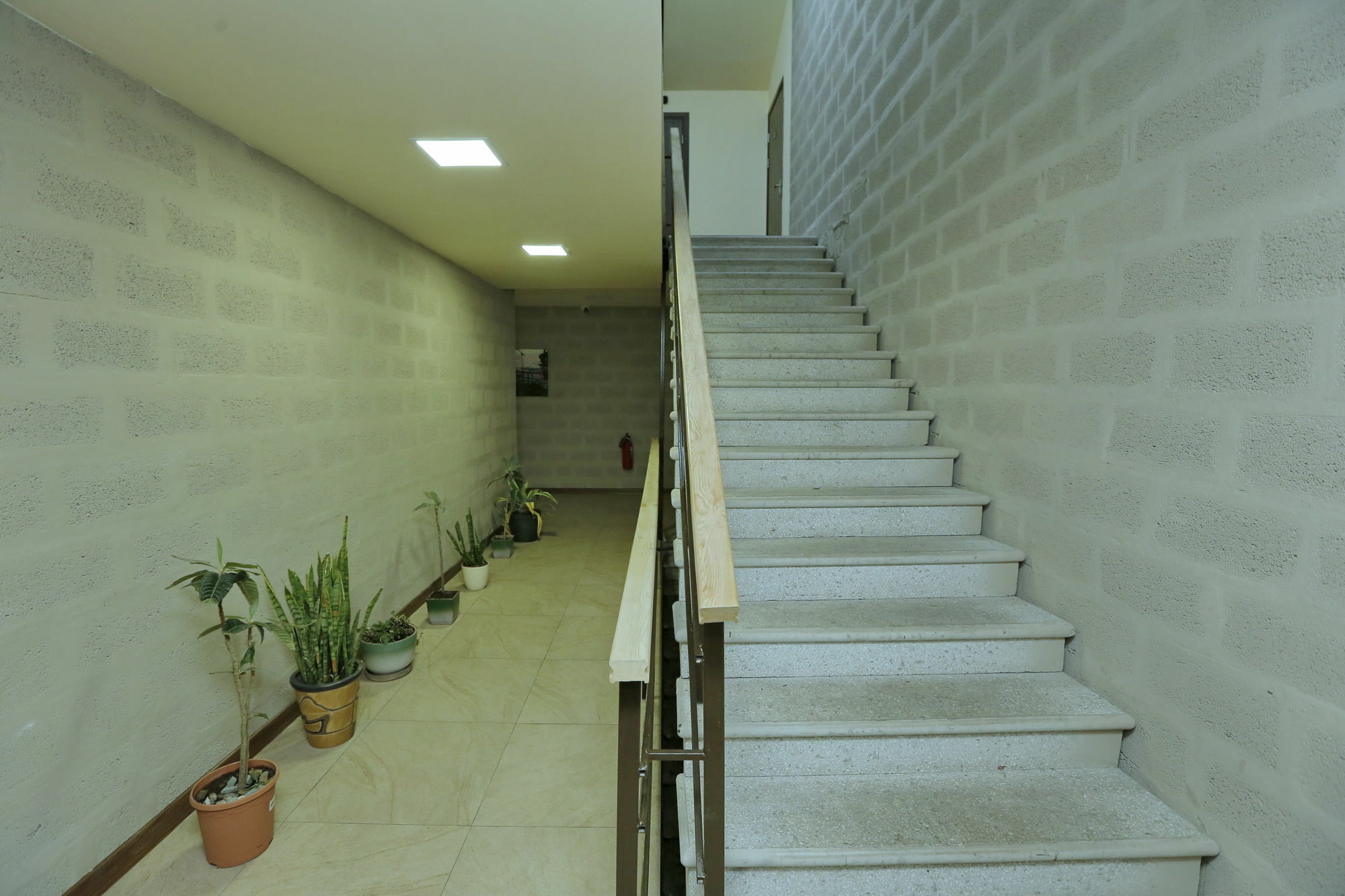 Grammy Apartments City Center Jerevan Exteriör bild